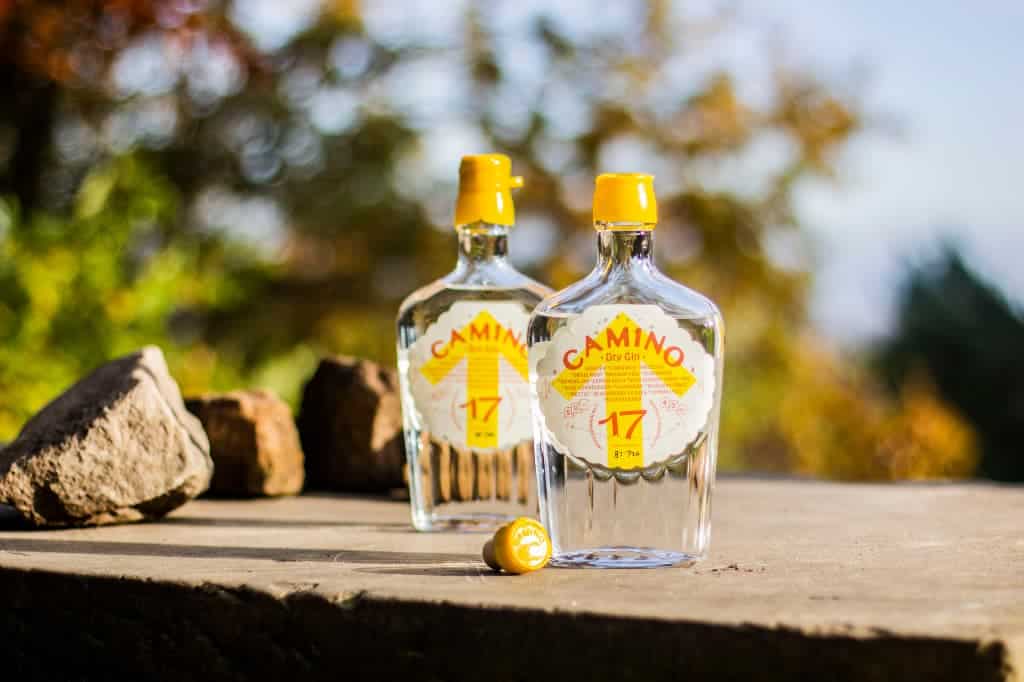 two bottles of Camino Dry Gin